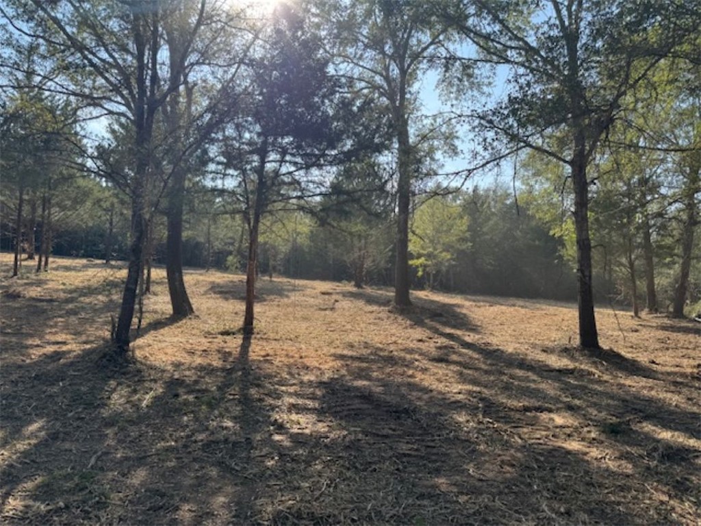 Tbd Sweed Road Washington, TX 77880 - Photo 3 of 25 a view of a yard with a tree