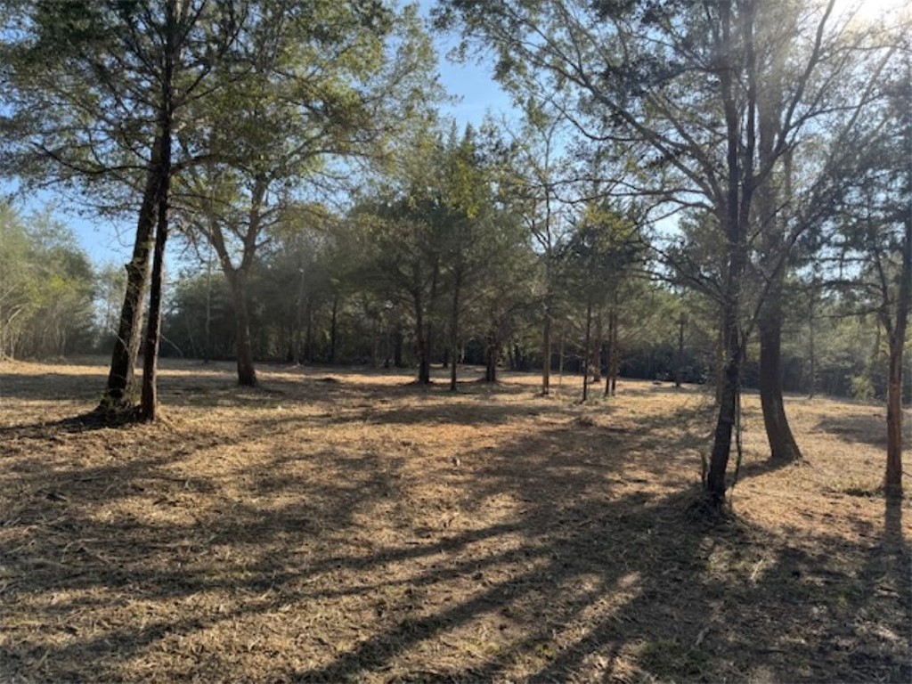 Tbd Sweed Road Washington, TX 77880 - Photo 4 of 25 a view of outdoor space with trees