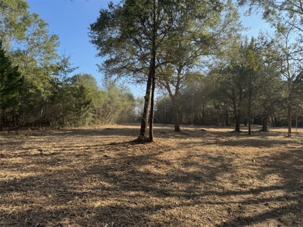 Tbd Sweed Road Washington, TX 77880 - Photo 5 of 25 a view of a yard with trees