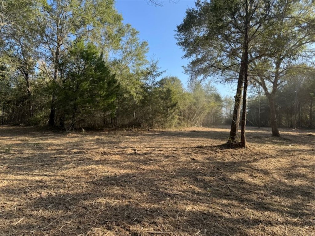 Tbd Sweed Road Washington, TX 77880 - Photo 6 of 25 a view of outdoor space with trees