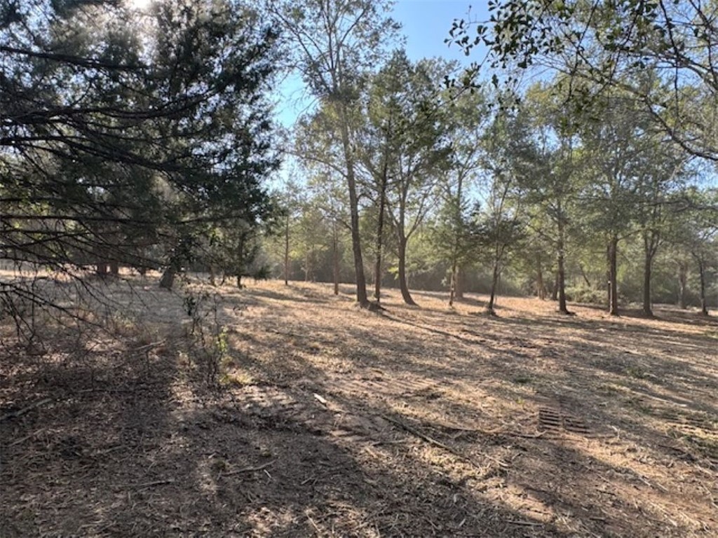 Tbd Sweed Road Washington, TX 77880 - Photo 7 of 25 a view of a yard with a tree