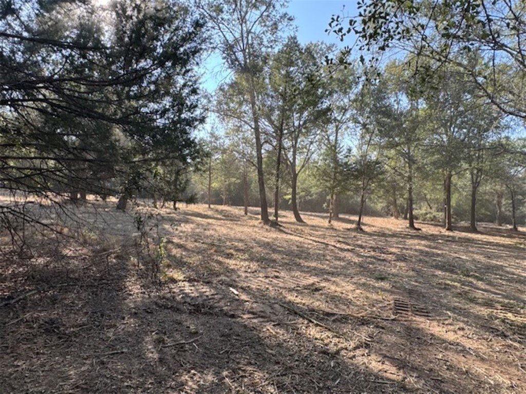 Tbd Sweed Road Washington, TX 77880 - Photo 8 of 25 a view of outdoor space with trees