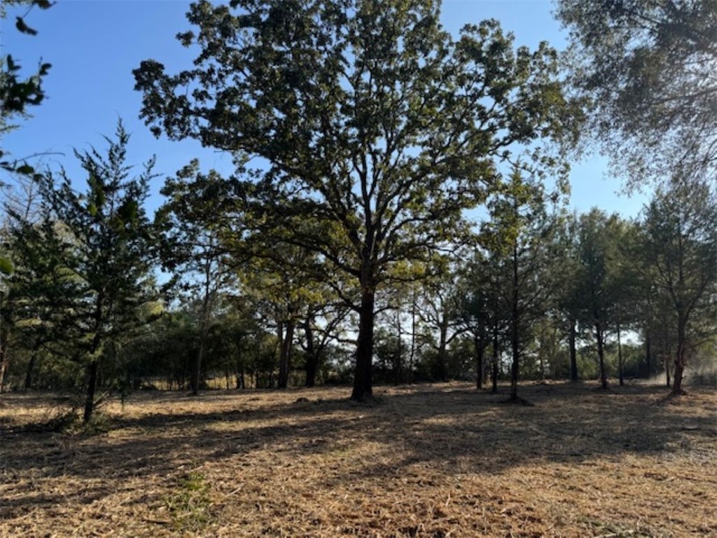 Tbd Sweed Road Washington, TX 77880 - Photo 9 of 25 a view of a yard with a tree