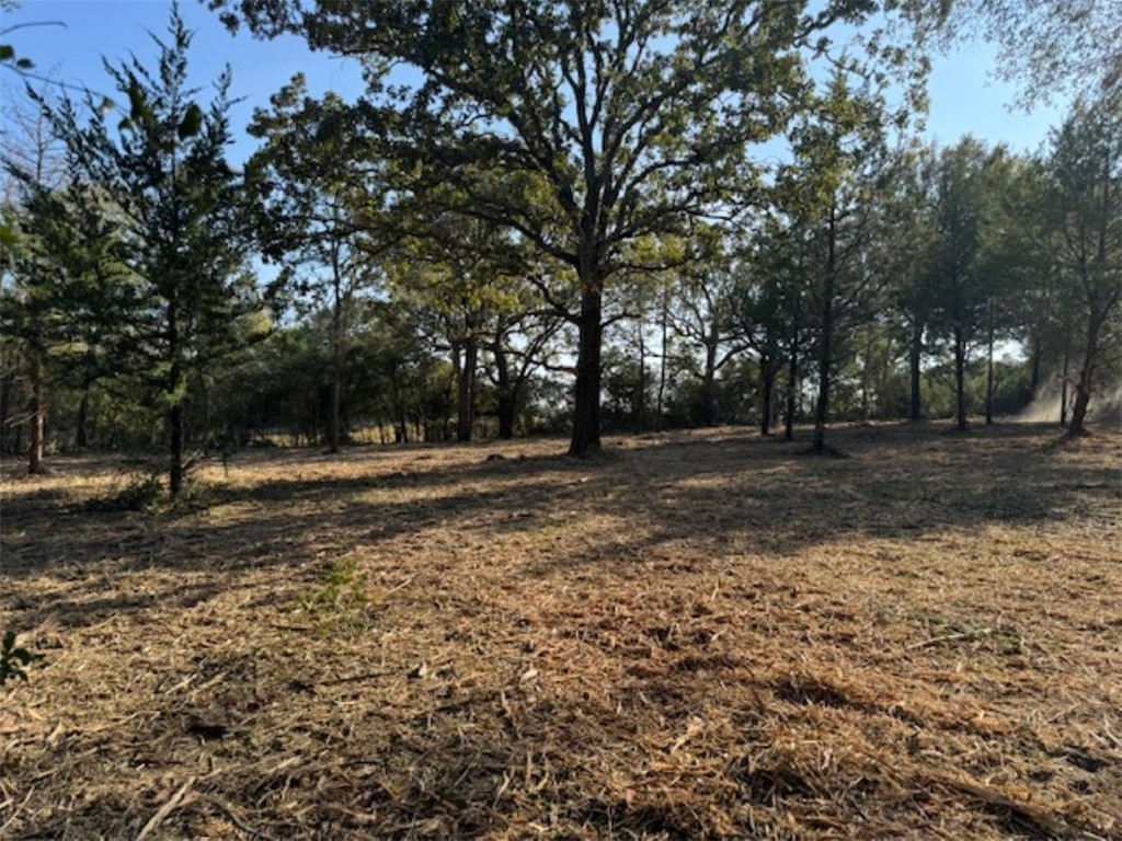 Tbd Sweed Road Washington, TX 77880 - Photo 10 of 25 a view of outdoor space with trees