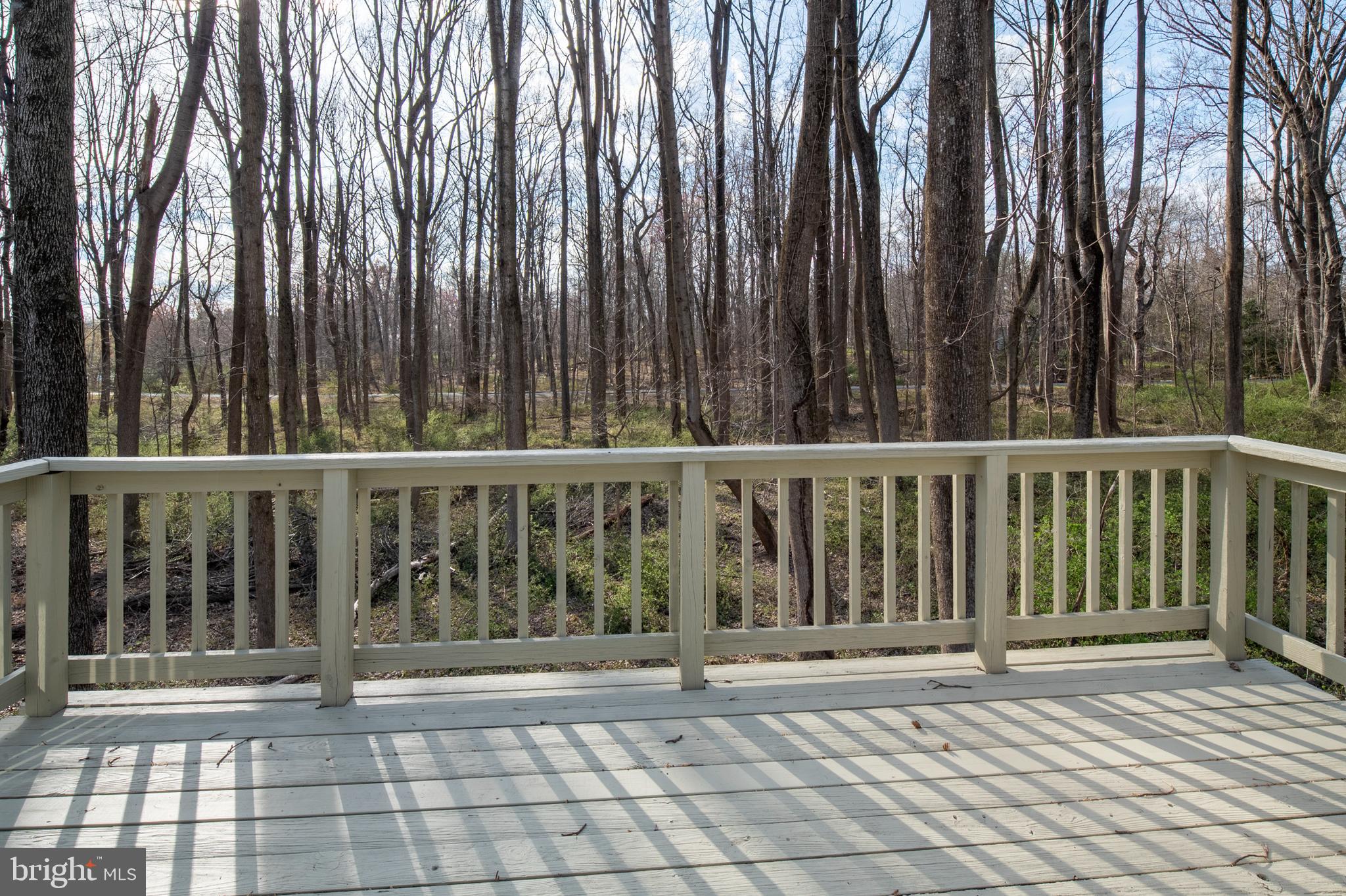 2167 McKendree Road West Friendship, MD 21794 - Photo 30 of 41 Primary Bedroom Balcony