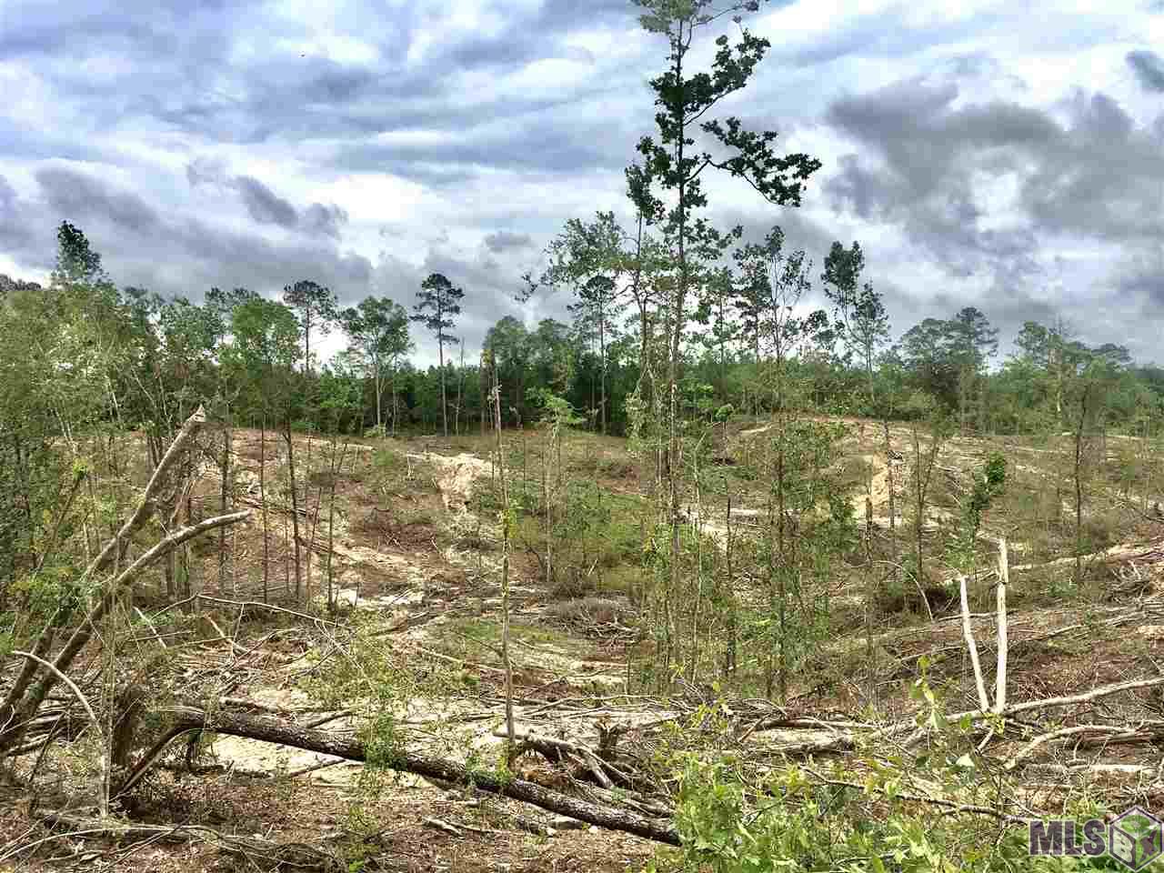 Tbd Water Tank Road Crosby, MS 39633 - Photo 5 of 17 Gallery Image 5