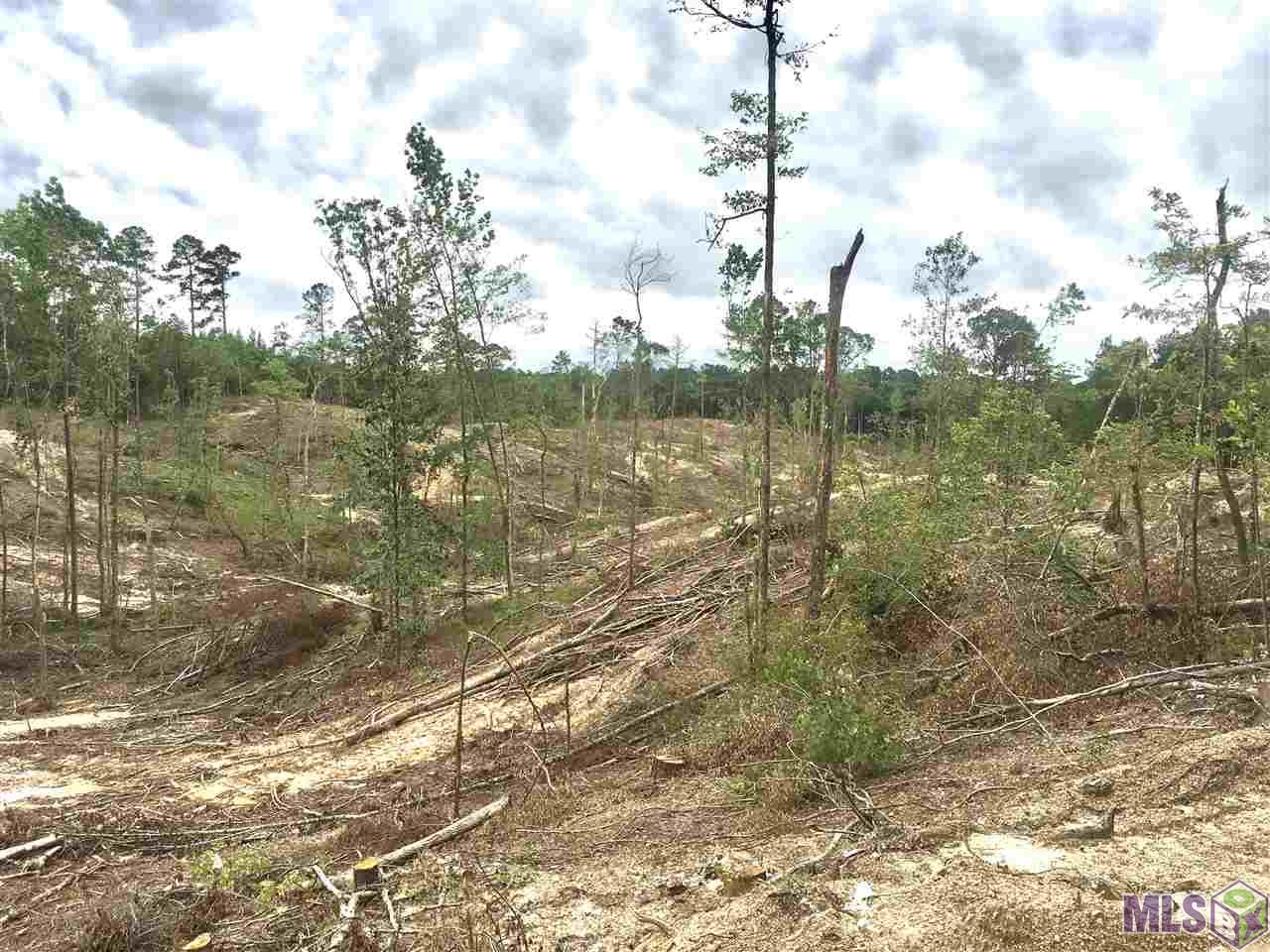 Tbd Water Tank Road Crosby, MS 39633 - Photo 8 of 17 Gallery Image 8