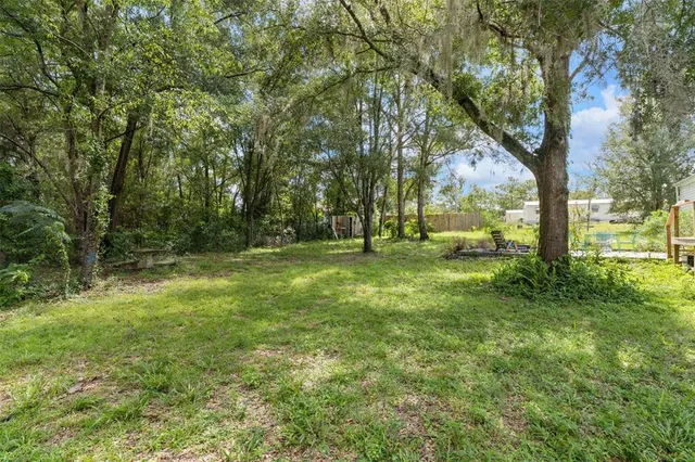 a view of outdoor space with trees all around