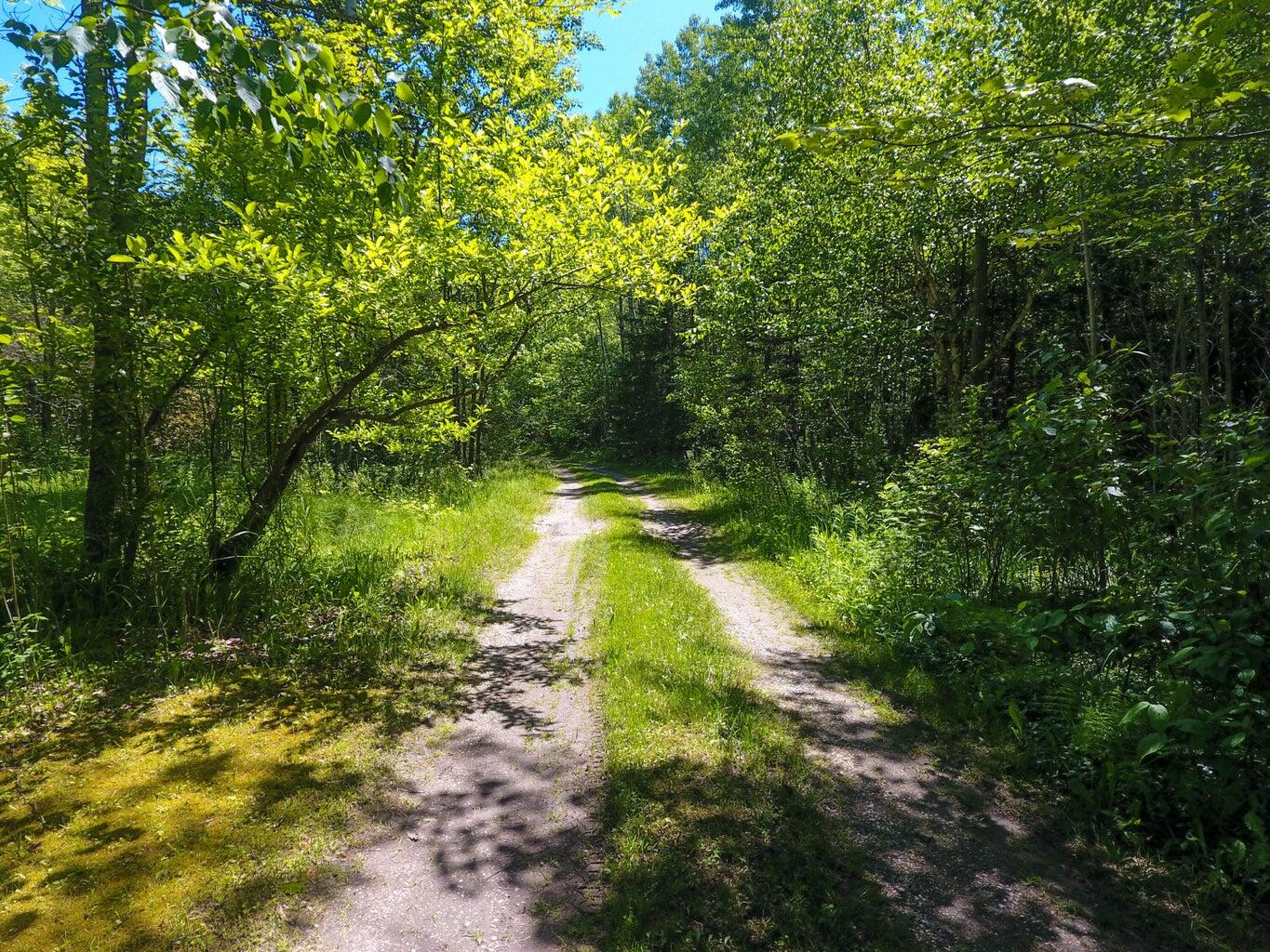18653 Hebron Mail Route Cheboygan, MI 49721 - Photo 3 of 9 20240620195027263571000000-o