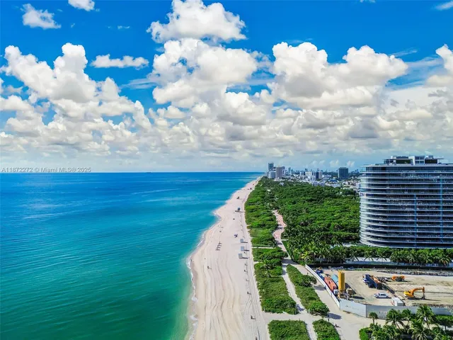 a view of a bunch of flowers in a yard