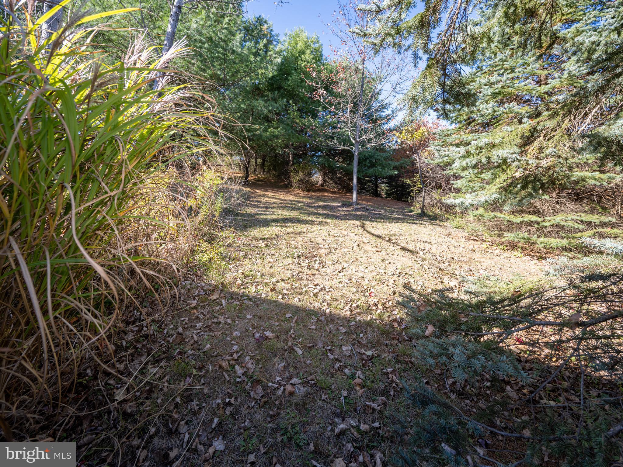 3836 Chestnut Grove Road Swanton, MD 21561 - Photo 12 of 111