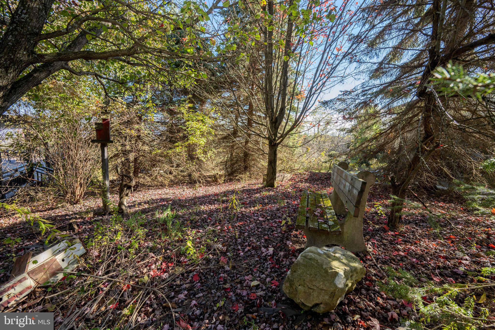 3836 Chestnut Grove Road Swanton, MD 21561 - Photo 14 of 111