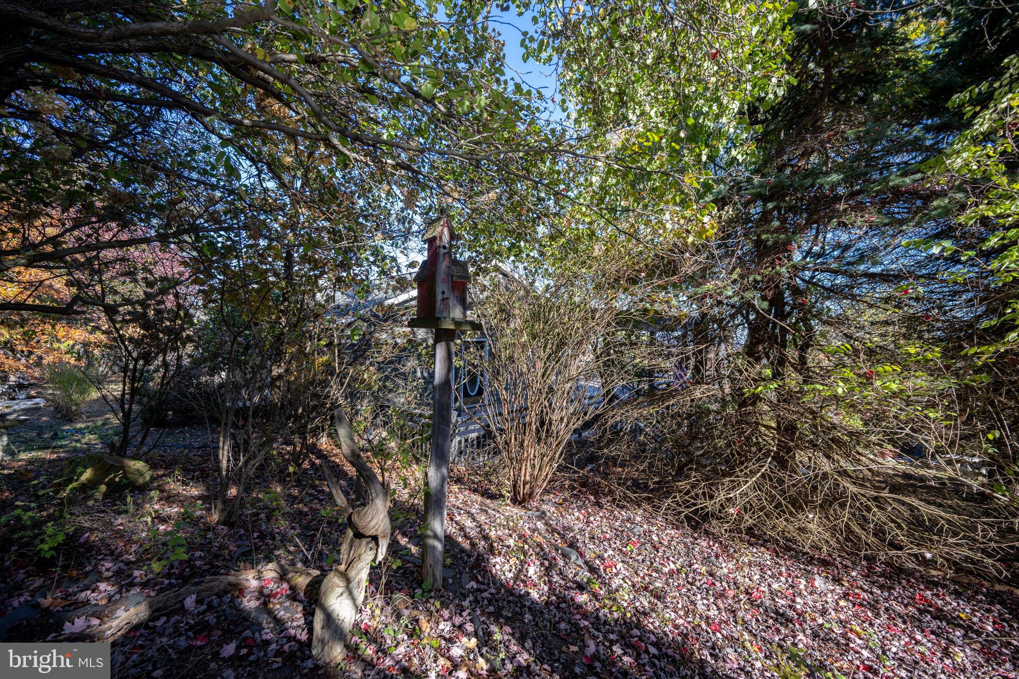 3836 Chestnut Grove Road Swanton, MD 21561 - Photo 15 of 111