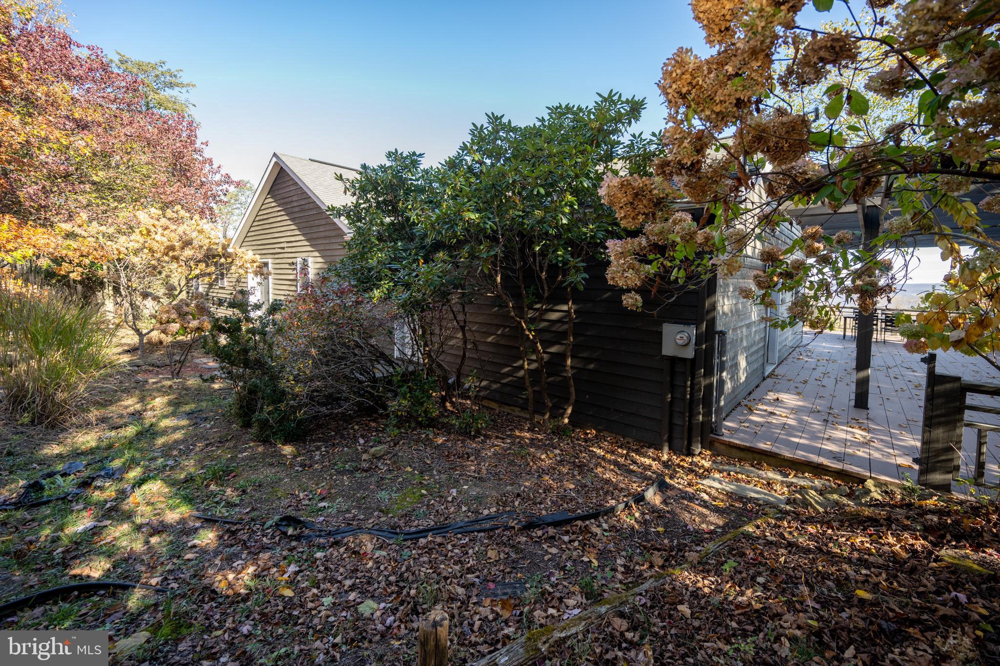 3836 Chestnut Grove Road Swanton, MD 21561 - Photo 17 of 111