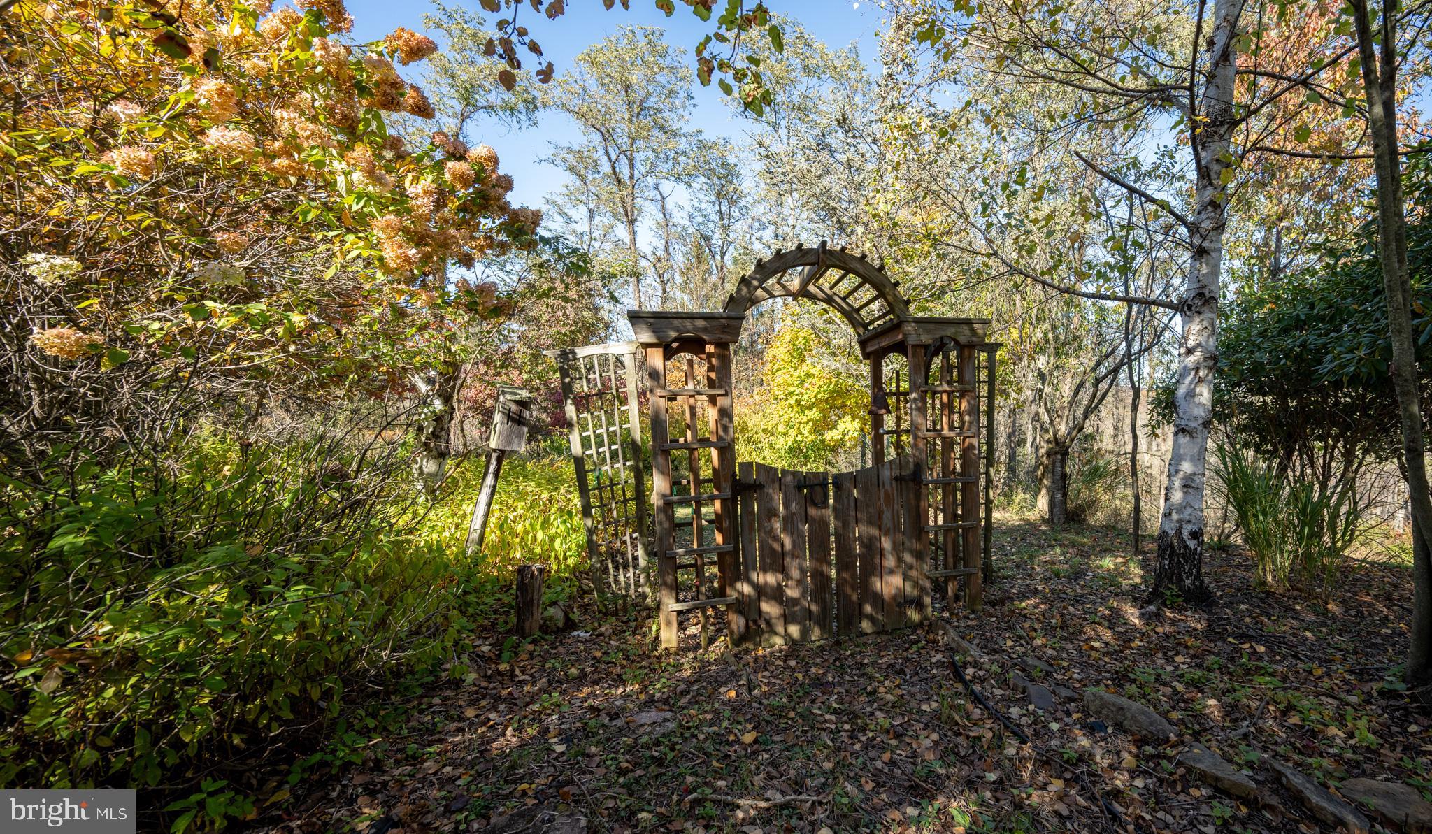 3836 Chestnut Grove Road Swanton, MD 21561 - Photo 21 of 111