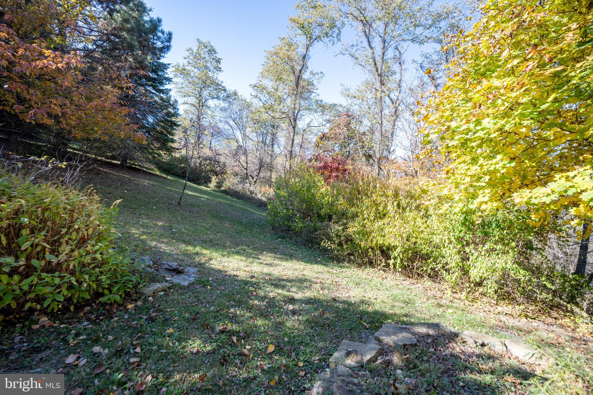 3836 Chestnut Grove Road Swanton, MD 21561 - Photo 23 of 111 a view of a garden with plants and large trees