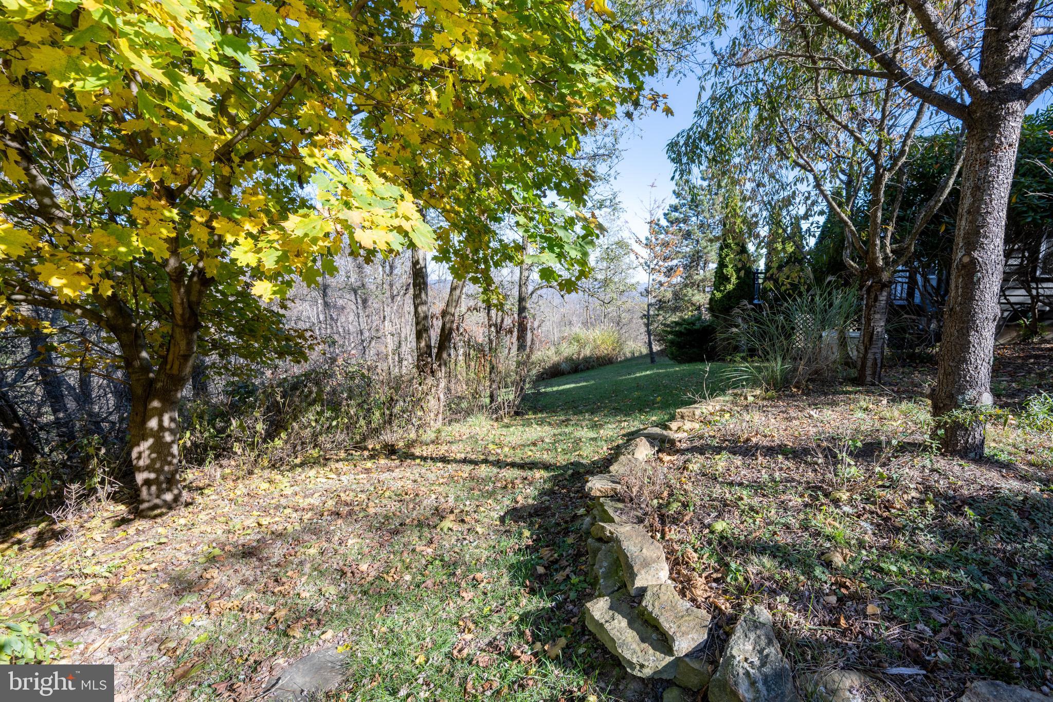 3836 Chestnut Grove Road Swanton, MD 21561 - Photo 24 of 111 a backyard of a house with lots of green space