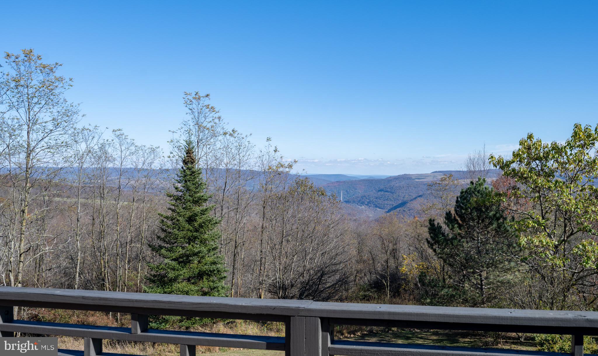 3836 Chestnut Grove Road Swanton, MD 21561 - Photo 28 of 111 a view of a forest from a balcony