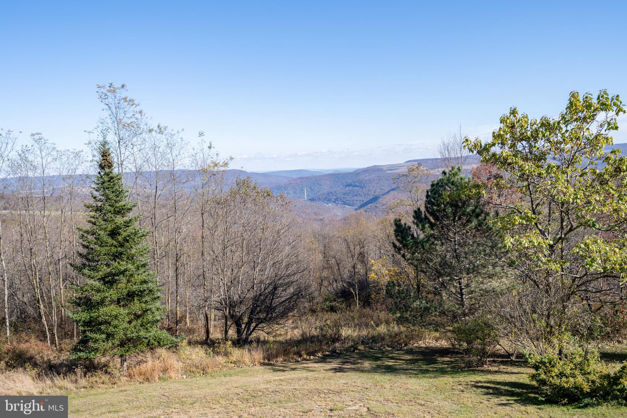 3836 Chestnut Grove Road Swanton, MD 21561 - Photo 29 of 111