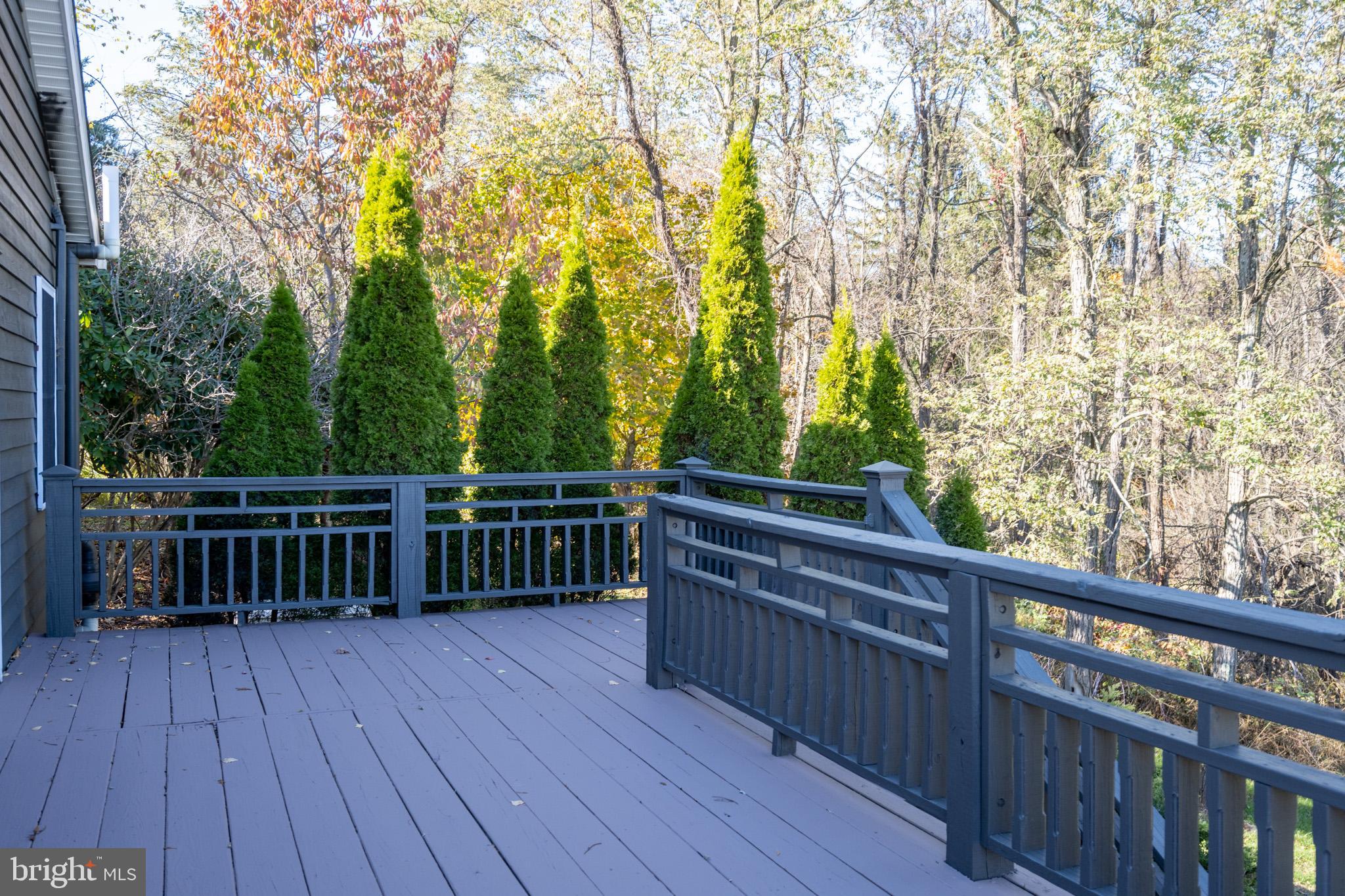 3836 Chestnut Grove Road Swanton, MD 21561 - Photo 30 of 111