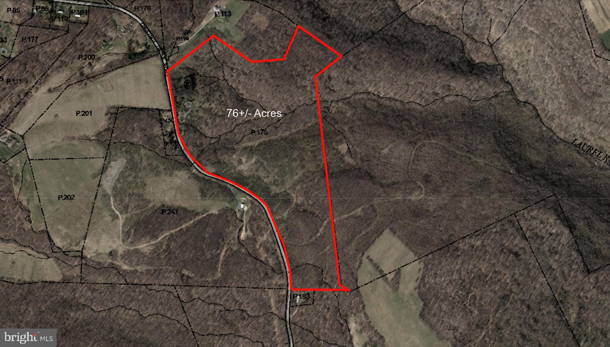 3836 Chestnut Grove Road Swanton, MD 21561 - Photo 3 of 111