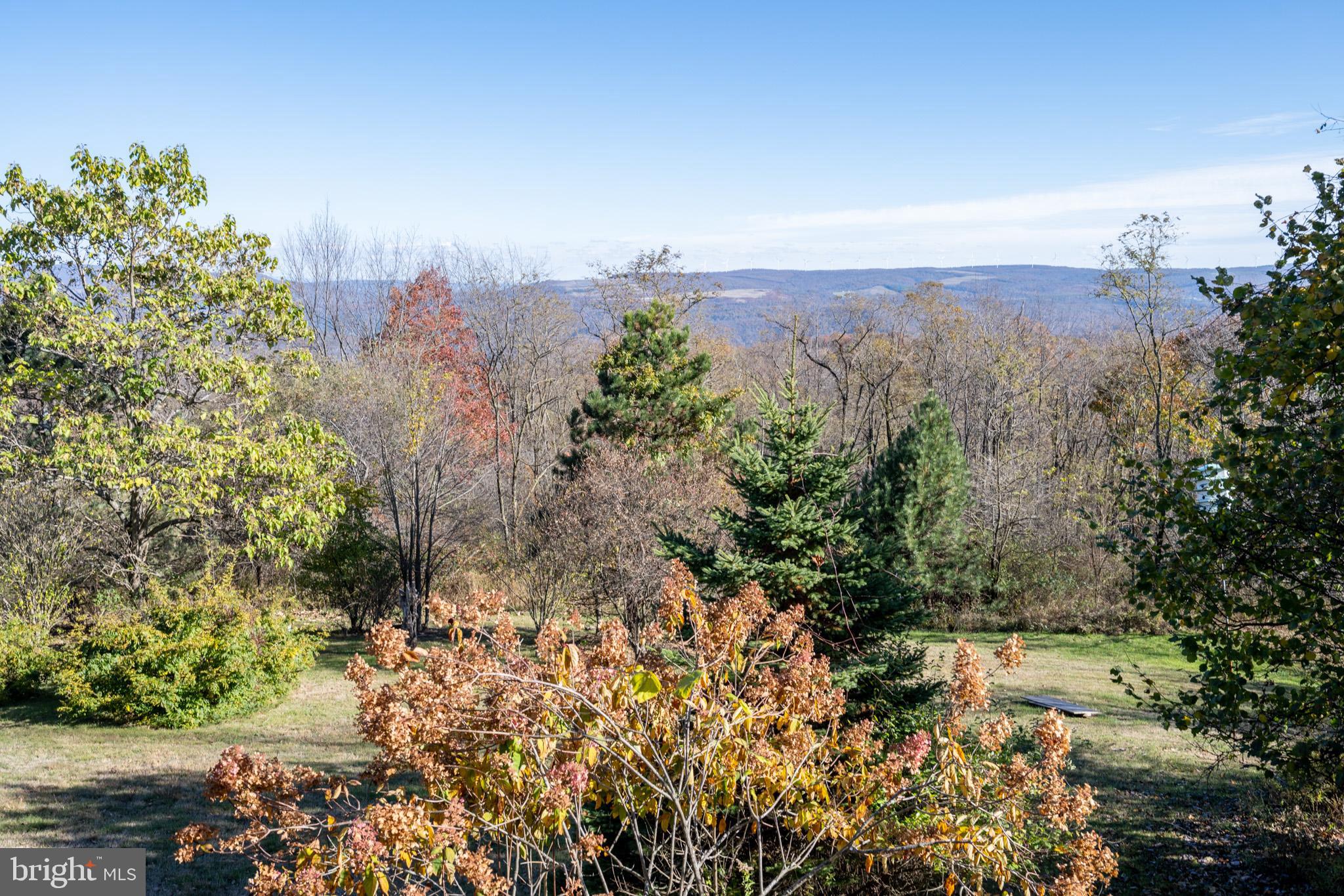 3836 Chestnut Grove Road Swanton, MD 21561 - Photo 33 of 111