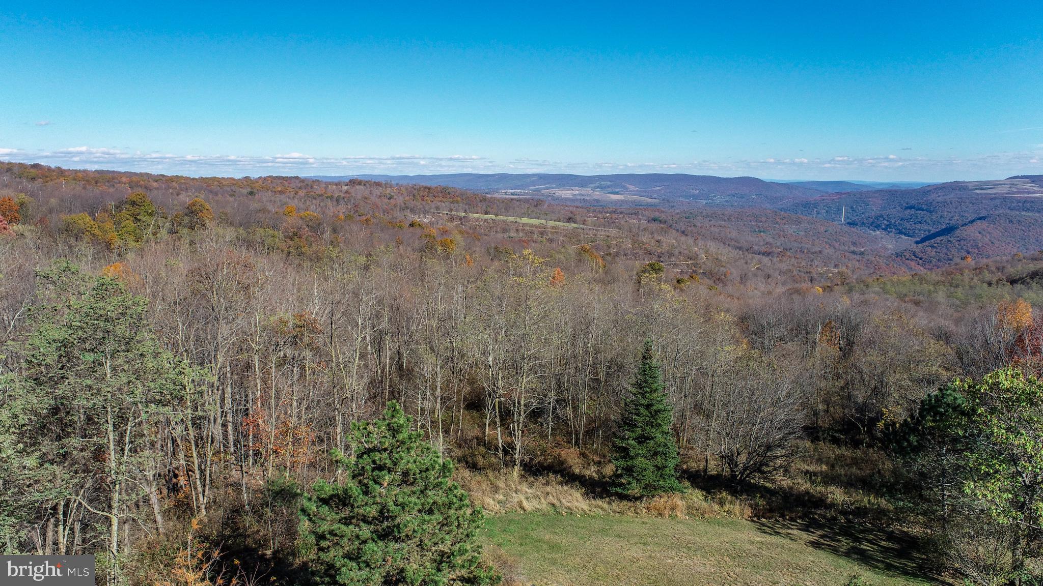 3836 Chestnut Grove Road Swanton, MD 21561 - Photo 46 of 111 a view of a city with lush green forest