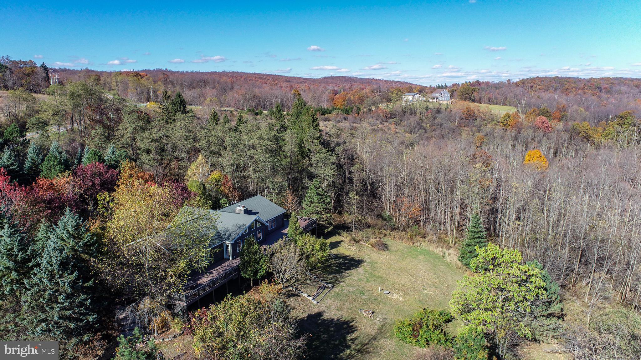 3836 Chestnut Grove Road Swanton, MD 21561 - Photo 5 of 111 a view of a forest with mountains in the background