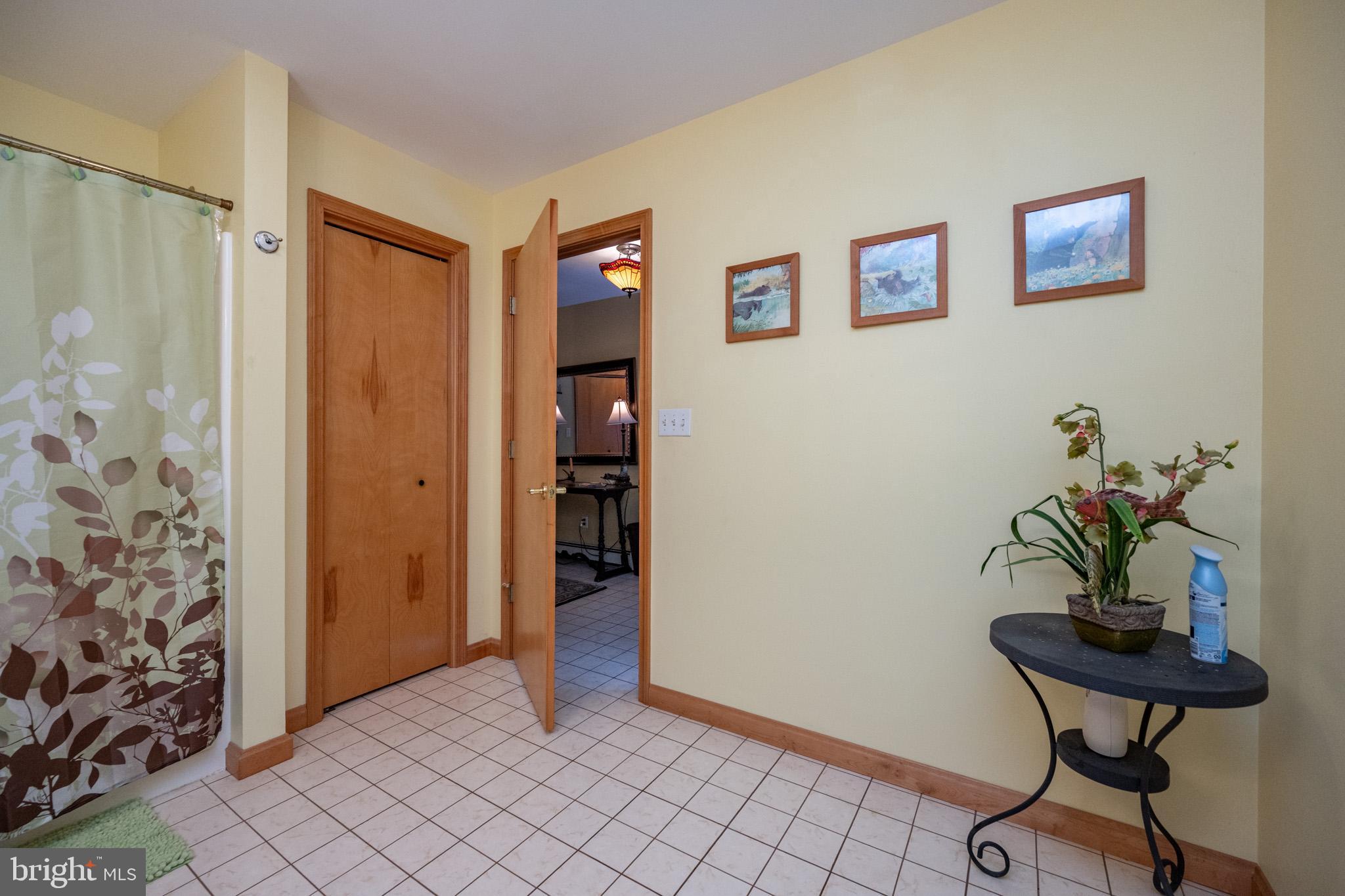 3836 Chestnut Grove Road Swanton, MD 21561 - Photo 52 of 111