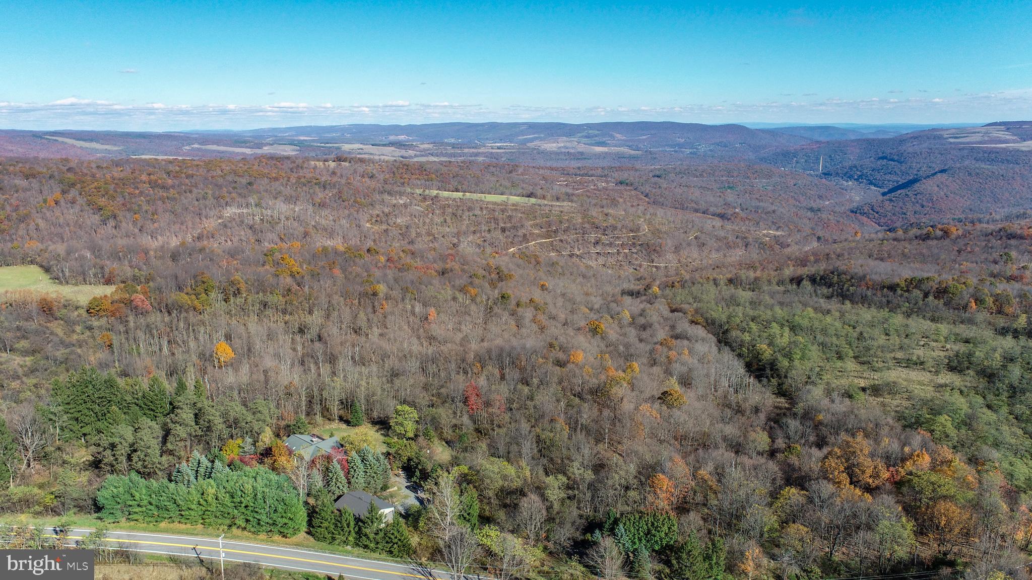 3836 Chestnut Grove Road Swanton, MD 21561 - Photo 6 of 111