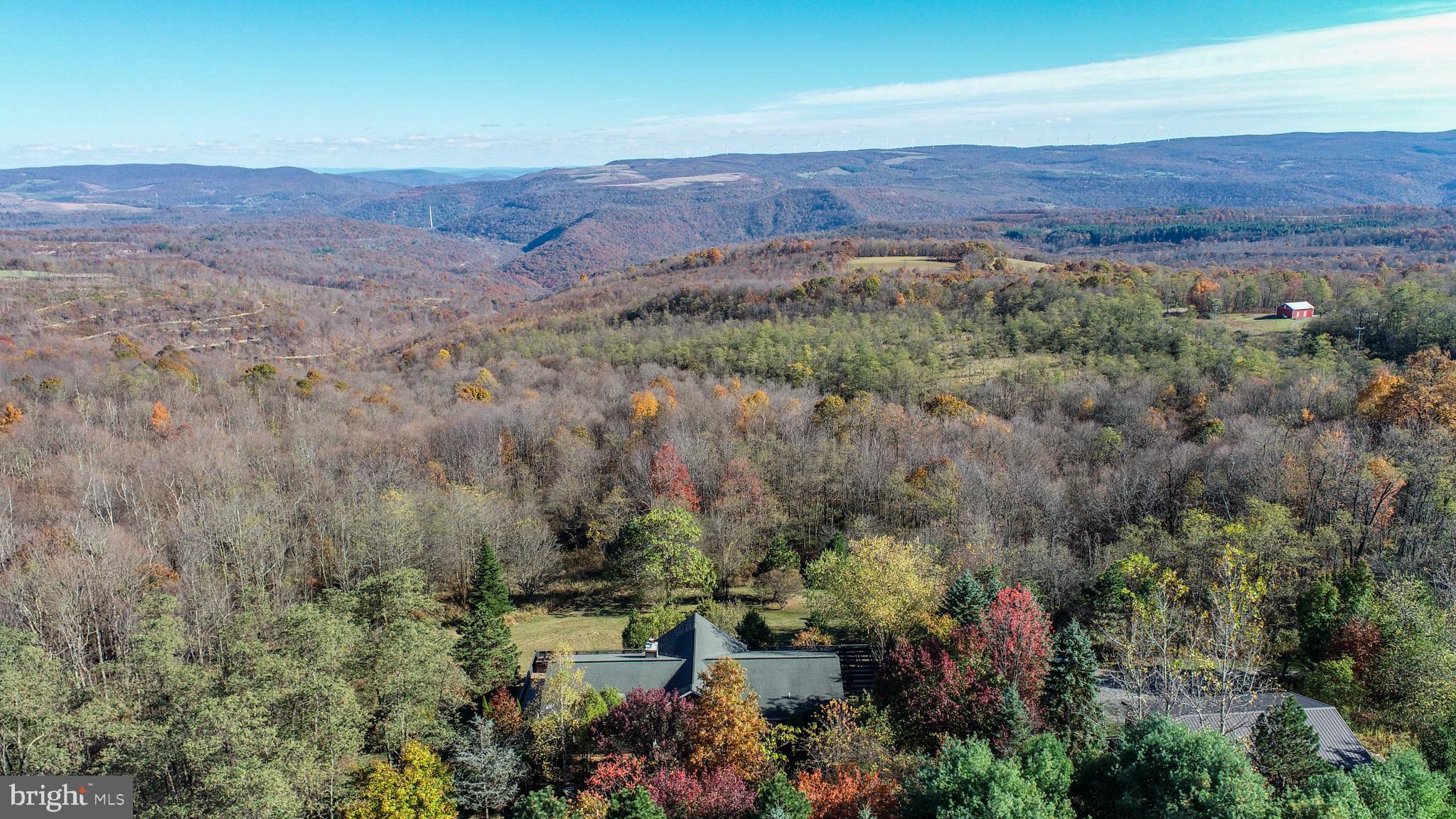 3836 Chestnut Grove Road Swanton, MD 21561 - Photo 7 of 111