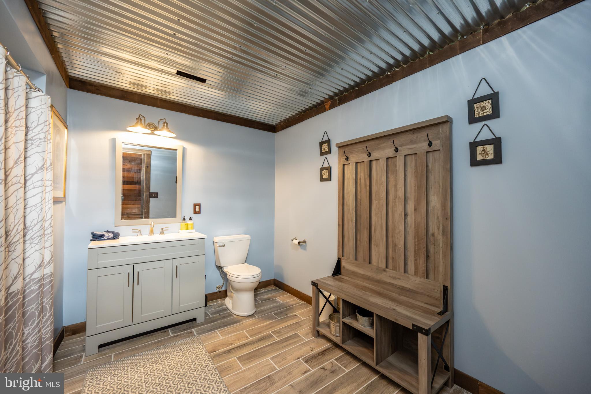 3836 Chestnut Grove Road Swanton, MD 21561 - Photo 94 of 111 a bathroom with a sink a toilet and a bathtub