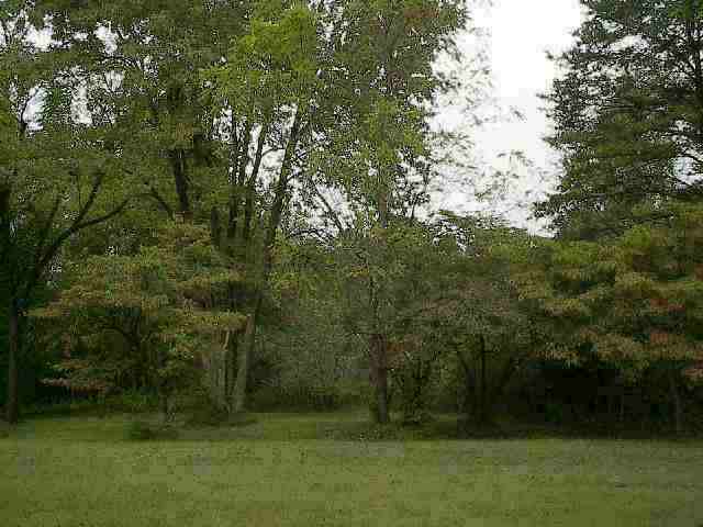 448 Pleasant Grove Road Pickens, SC 29671 - Photo 2 of 7