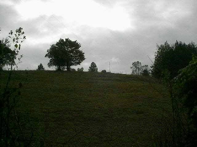 448 Pleasant Grove Road Pickens, SC 29671 - Photo 3 of 7