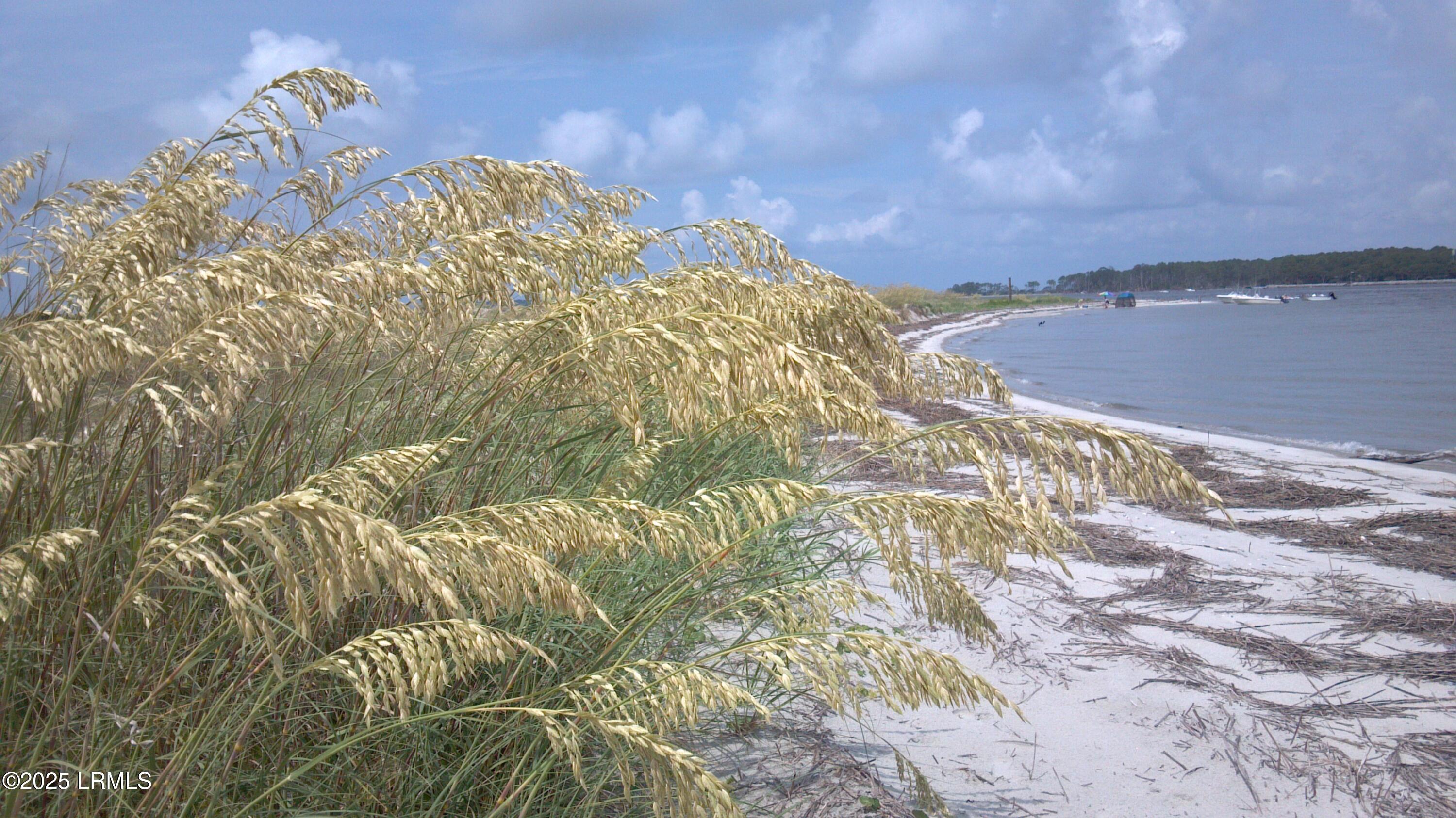 15 Meridian Road Beaufort, SC 29907 - Photo 12 of 47 Hunting Island State Park