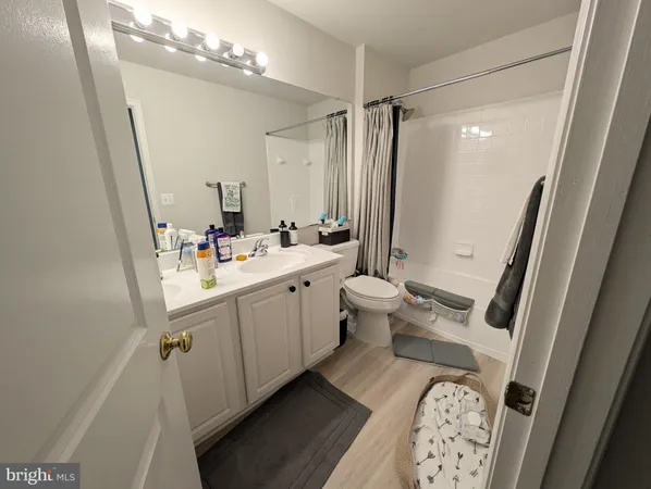 a bathroom with a sink a toilet a mirror a vanity and shower
