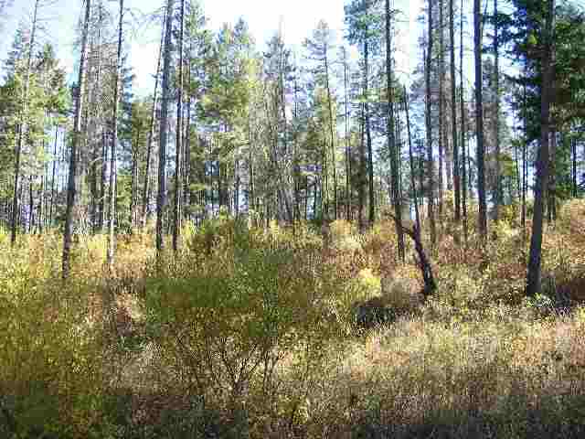3200 South Waitts Lake Road Valley, WA 99181 - Photo 4 of 8 Gallery Image 4