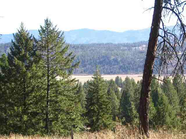 3200 South Waitts Lake Road Valley, WA 99181 - Photo 5 of 8 Gallery Image 5
