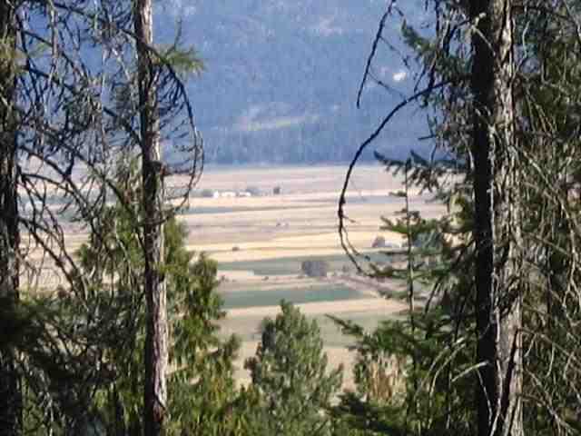 3200 South Waitts Lake Road Valley, WA 99181 - Photo 6 of 8 Gallery Image 6