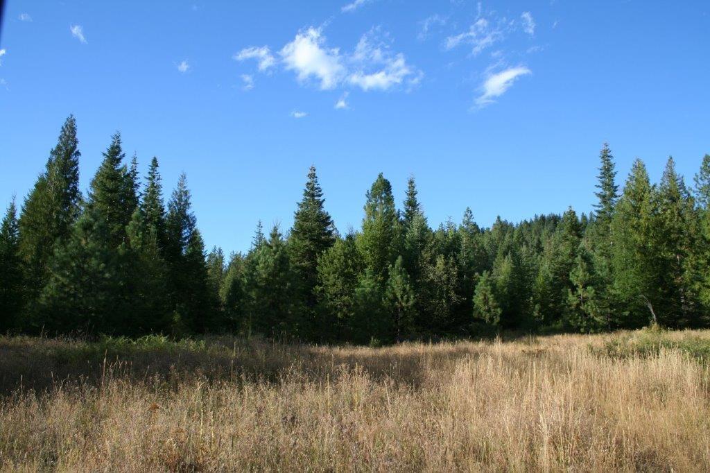 16-xx Nicholson Road Elk, WA 99009 - Photo 1 of 21