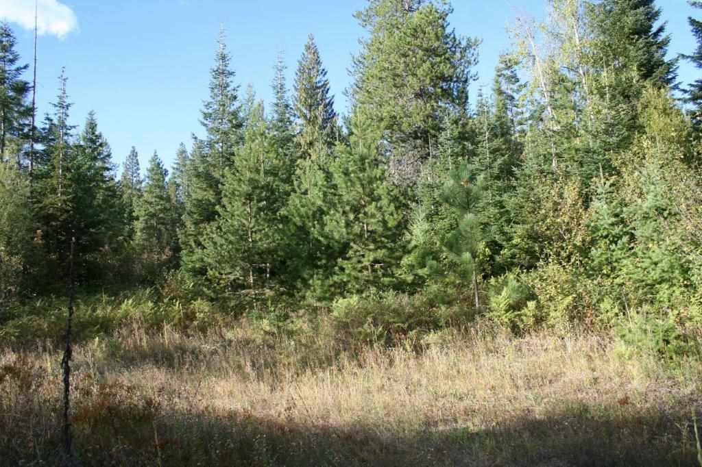 16-xx Nicholson Road Elk, WA 99009 - Photo 2 of 21