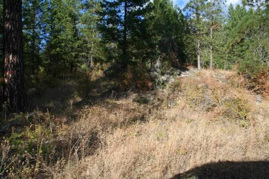 16-xx Nicholson Road Elk, WA 99009 - Photo 11 of 21