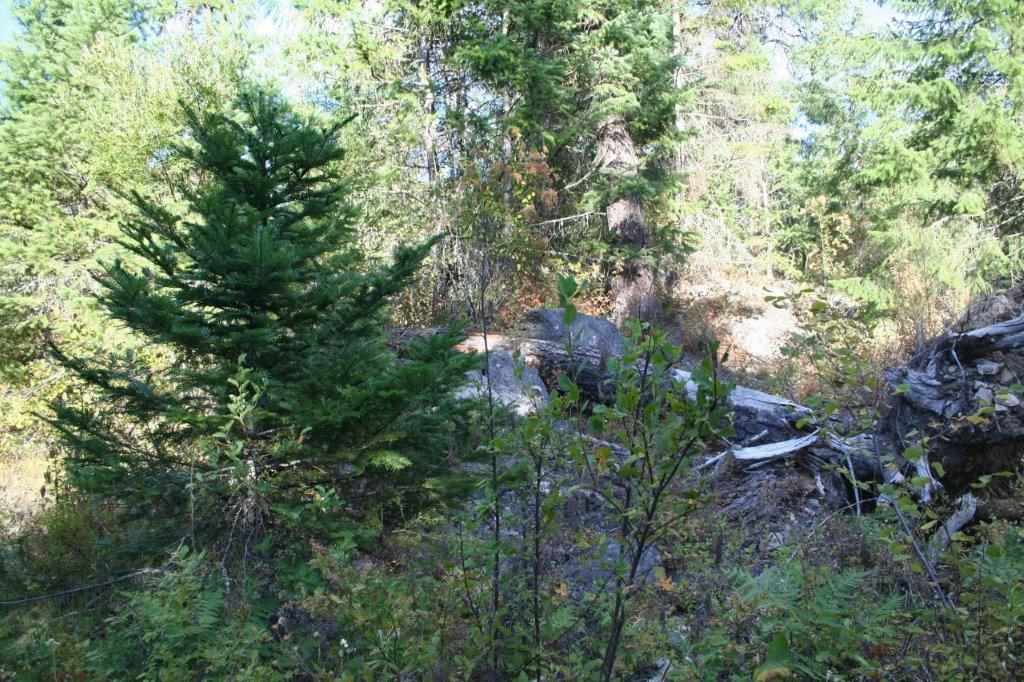 16-xx Nicholson Road Elk, WA 99009 - Photo 12 of 21