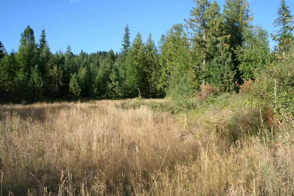 16-xx Nicholson Road Elk, WA 99009 - Photo 13 of 21