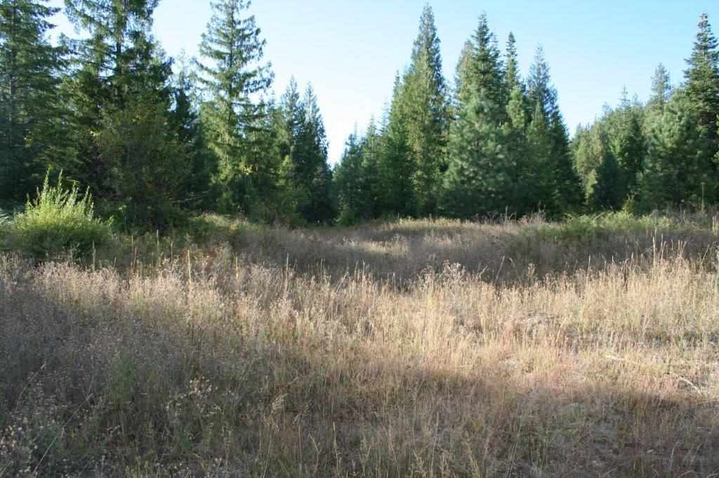 16-xx Nicholson Road Elk, WA 99009 - Photo 14 of 21