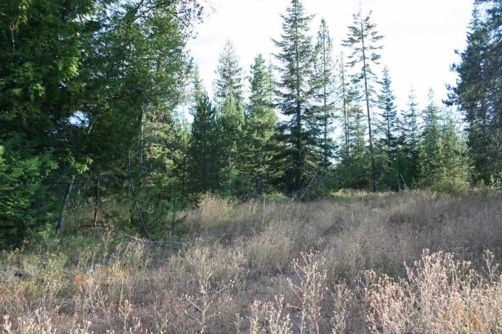 16-xx Nicholson Road Elk, WA 99009 - Photo 15 of 21