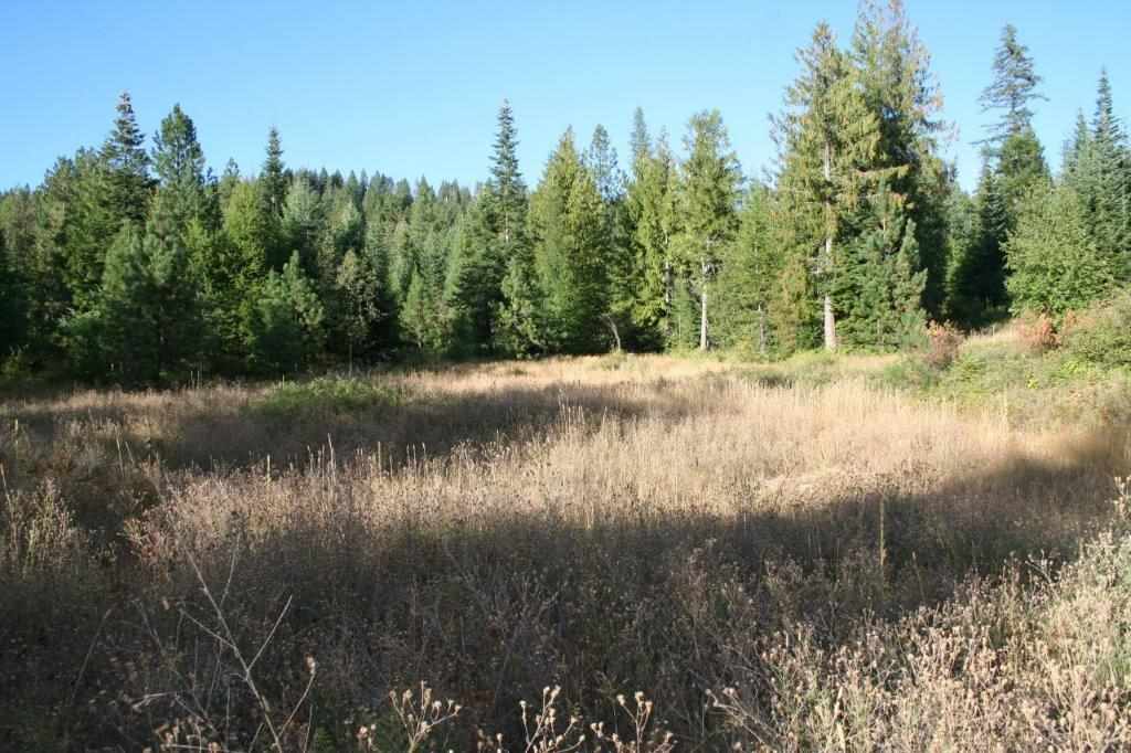 16-xx Nicholson Road Elk, WA 99009 - Photo 16 of 21