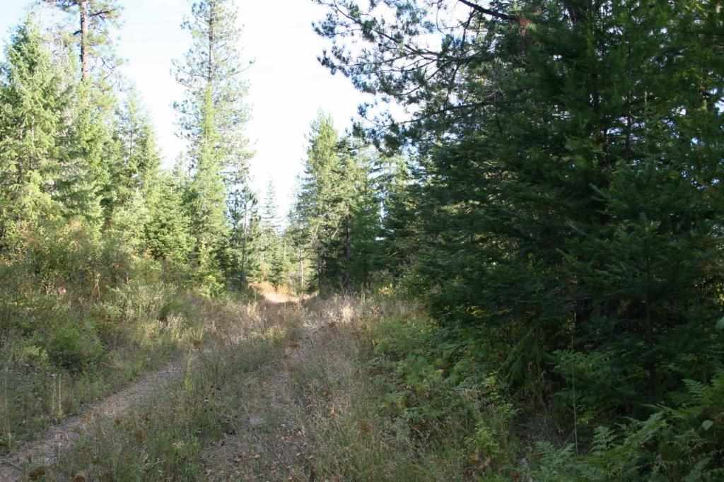 16-xx Nicholson Road Elk, WA 99009 - Photo 17 of 21