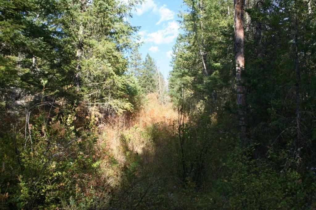 16-xx Nicholson Road Elk, WA 99009 - Photo 18 of 21