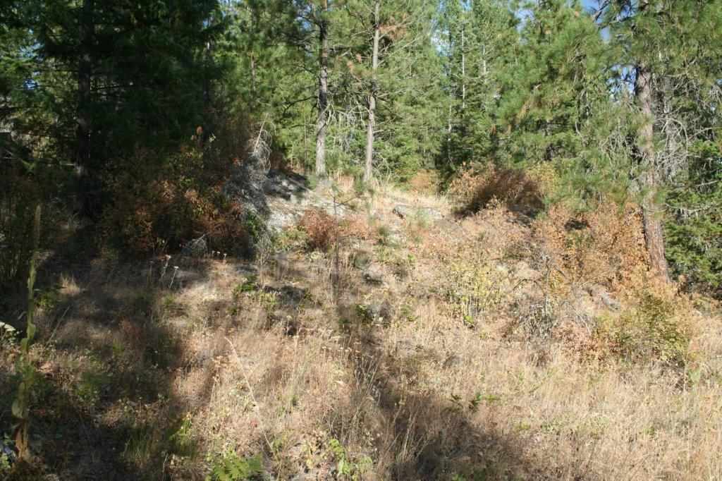 16-xx Nicholson Road Elk, WA 99009 - Photo 19 of 21